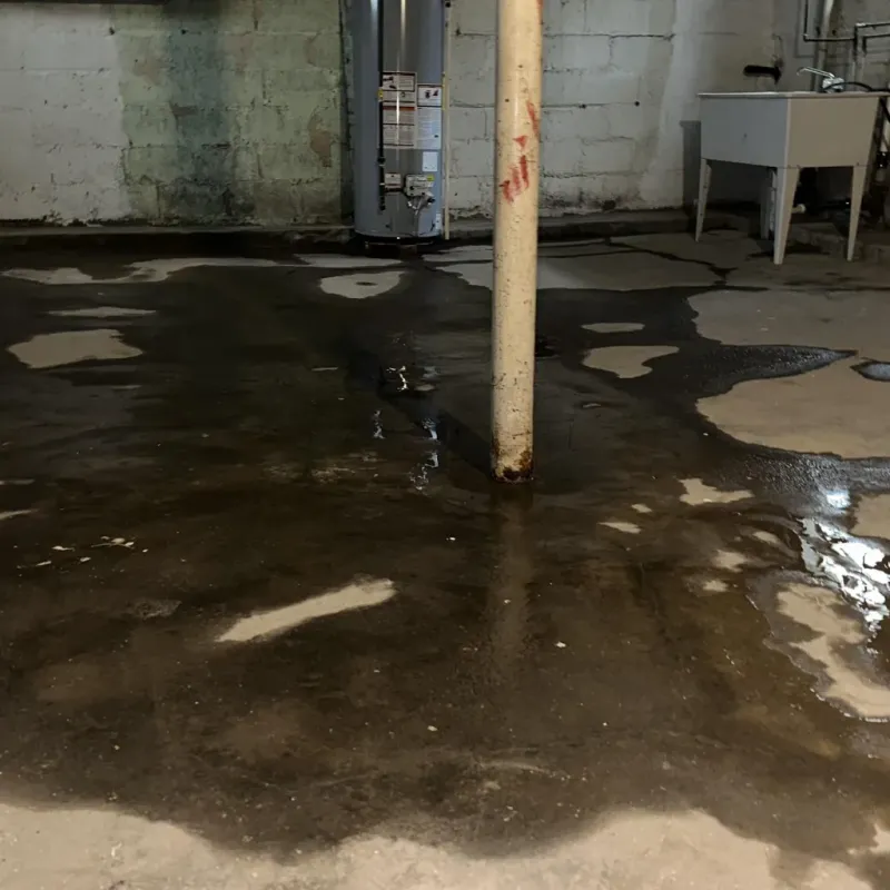 Emergency Water Extraction And Removal in Aguilita, PR